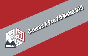 Canvas X Pro 20 Torrent 